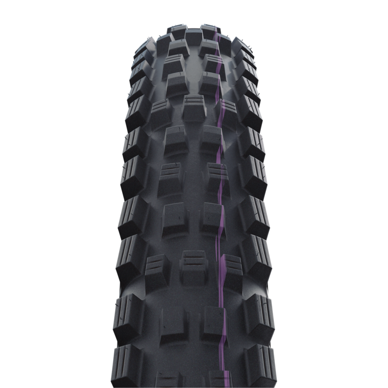 Schwalbe Magic Mary EVO 29