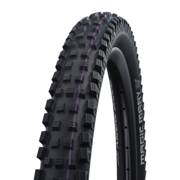 Schwalbe Big Betty 29