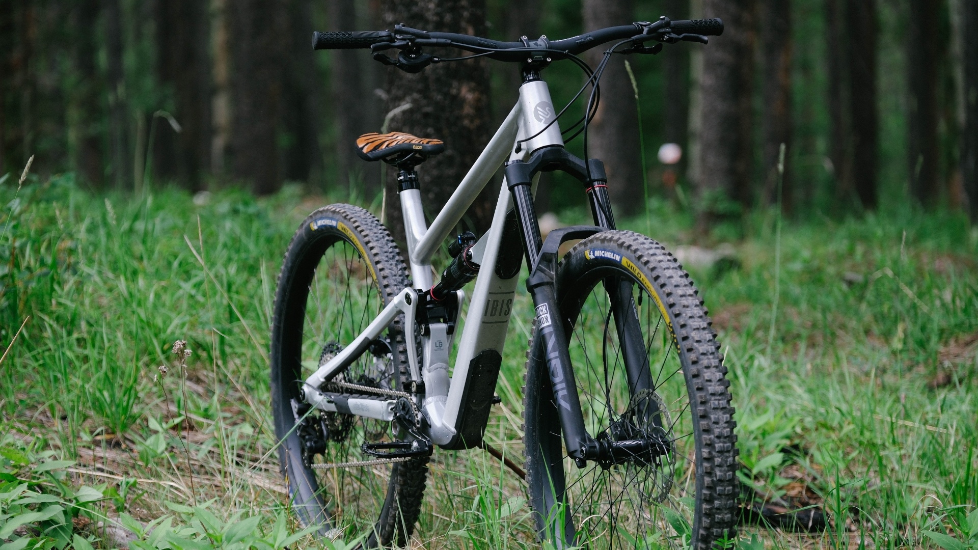 Keep Calm and Metal On: The New Ibis Ripmo AF Is Here to Prove