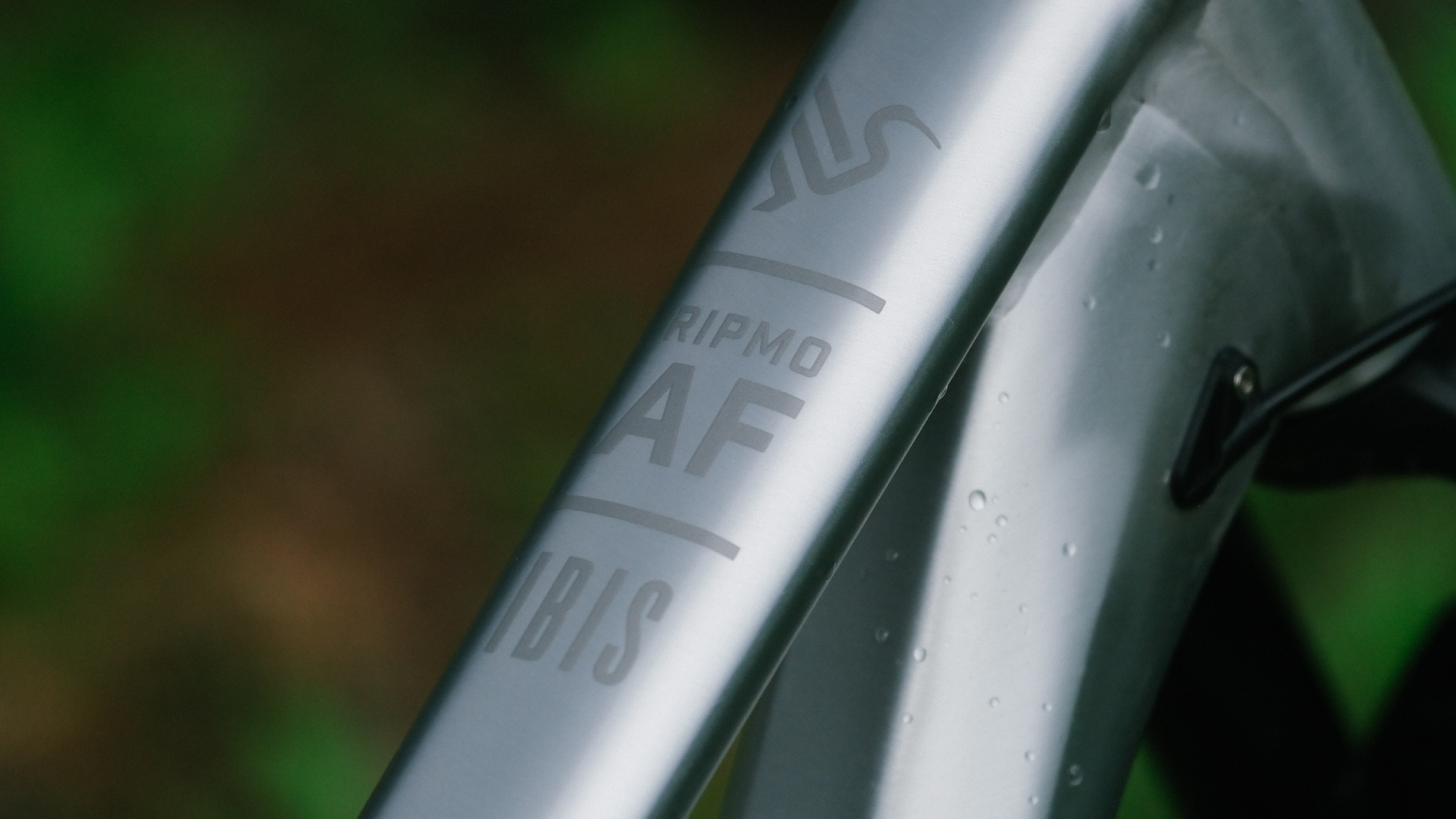 Ibis Ripmo AF V3