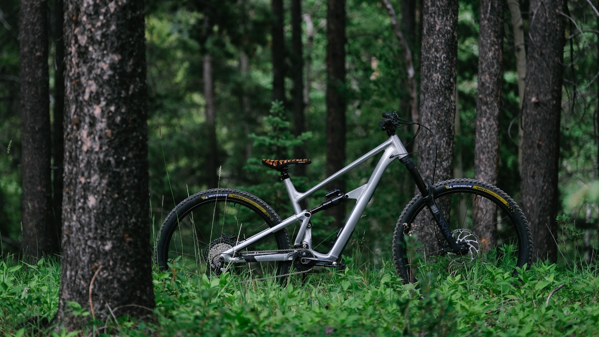 Keep Calm and Metal On: The New Ibis Ripmo AF Is Here to Prove