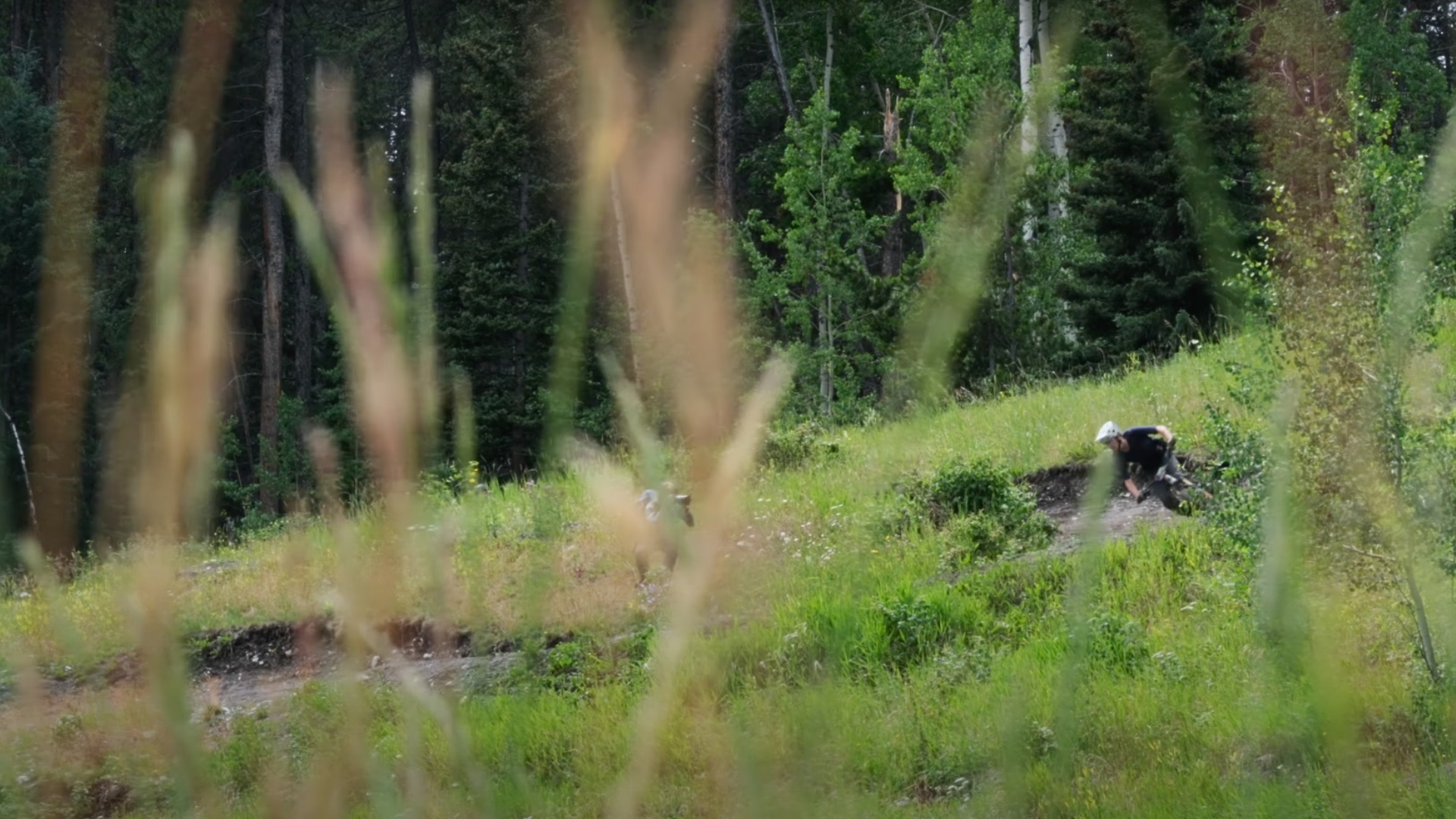 Canmore Enduro at Steedz