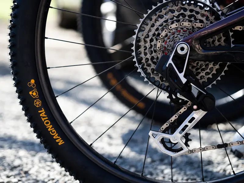 Continental Magnotal Tire 29