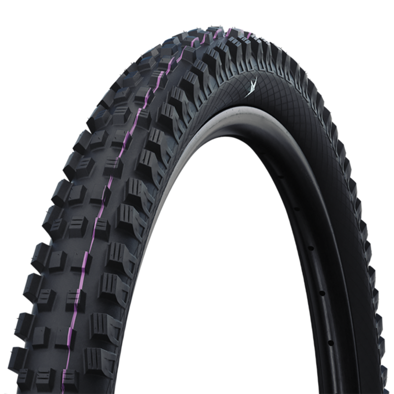Schwalbe Magic Mary EVO 29
