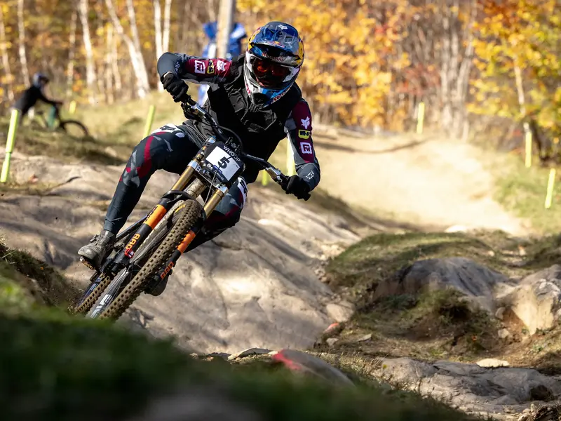 GIANT DH COMP FOX40フォーク Manitou SPVショック Manitou | Circus Expert Suspension Fork - Supercross BMX