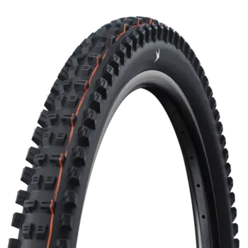 Schwalbe Magic Mary EVO 29