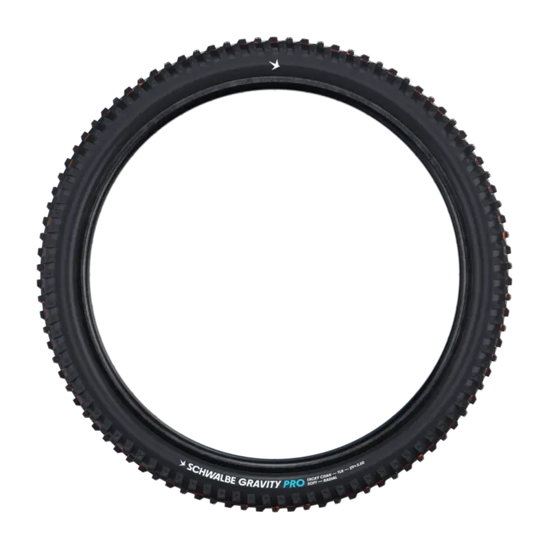 Schwalbe Tacky Chan Tire 29