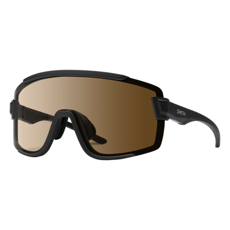 SMITH Wild cat サングラス Smith Wildcat Sunglasses - The Inside Line