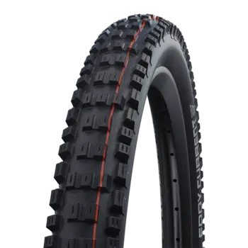Schwalbe Big Betty 29