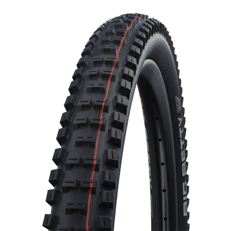 Schwalbe Big Betty 29