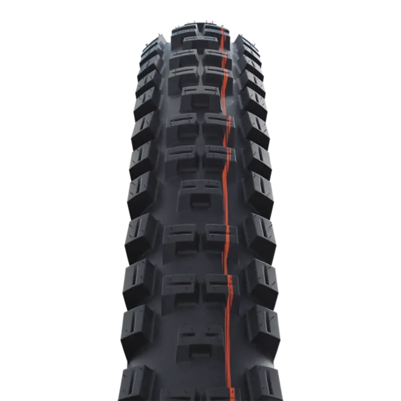 Schwalbe Big Betty 29