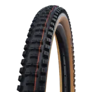 Schwalbe Big Betty 29