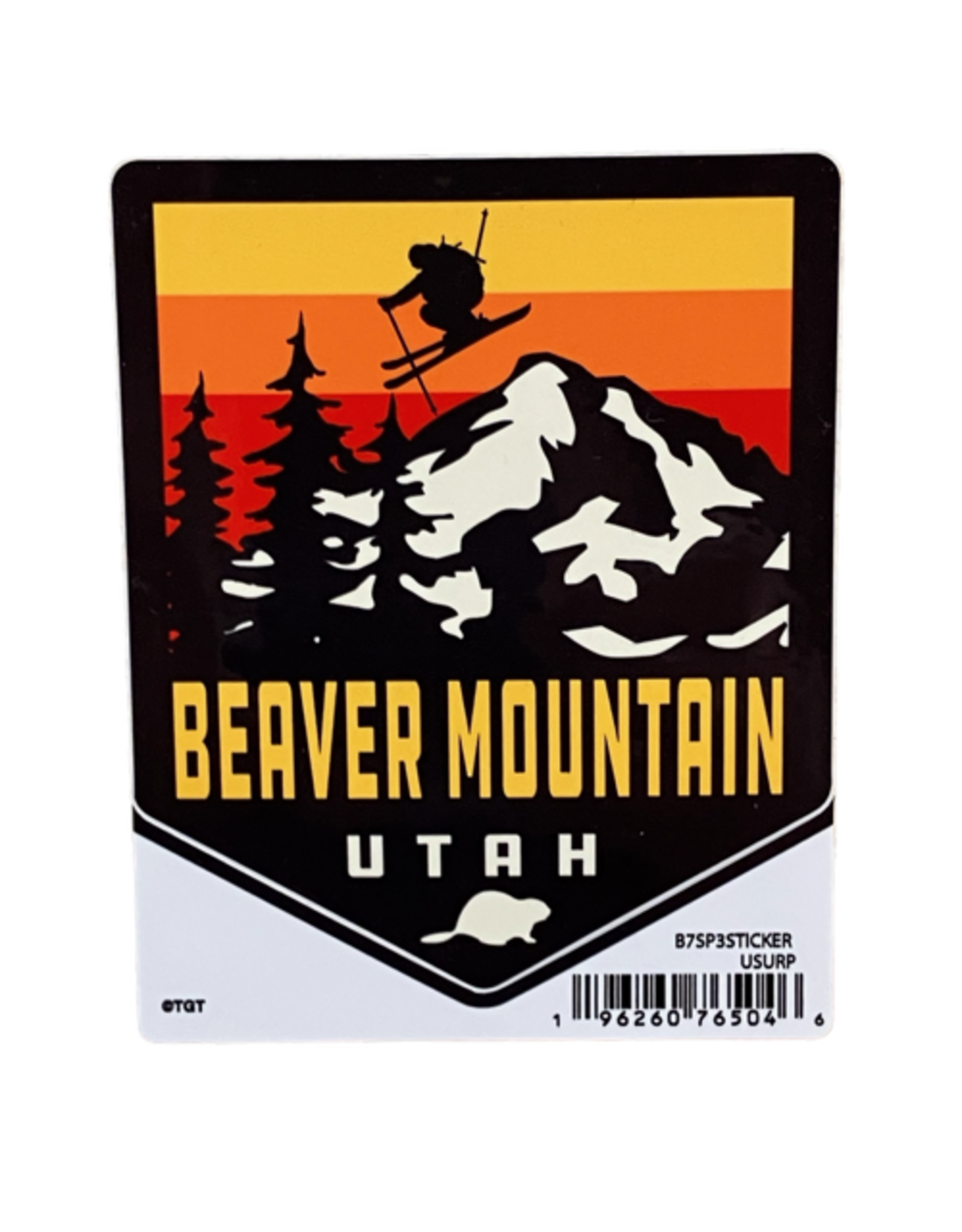 TGT USURP Skier Sticker