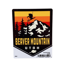 TGT USURP Skier Sticker