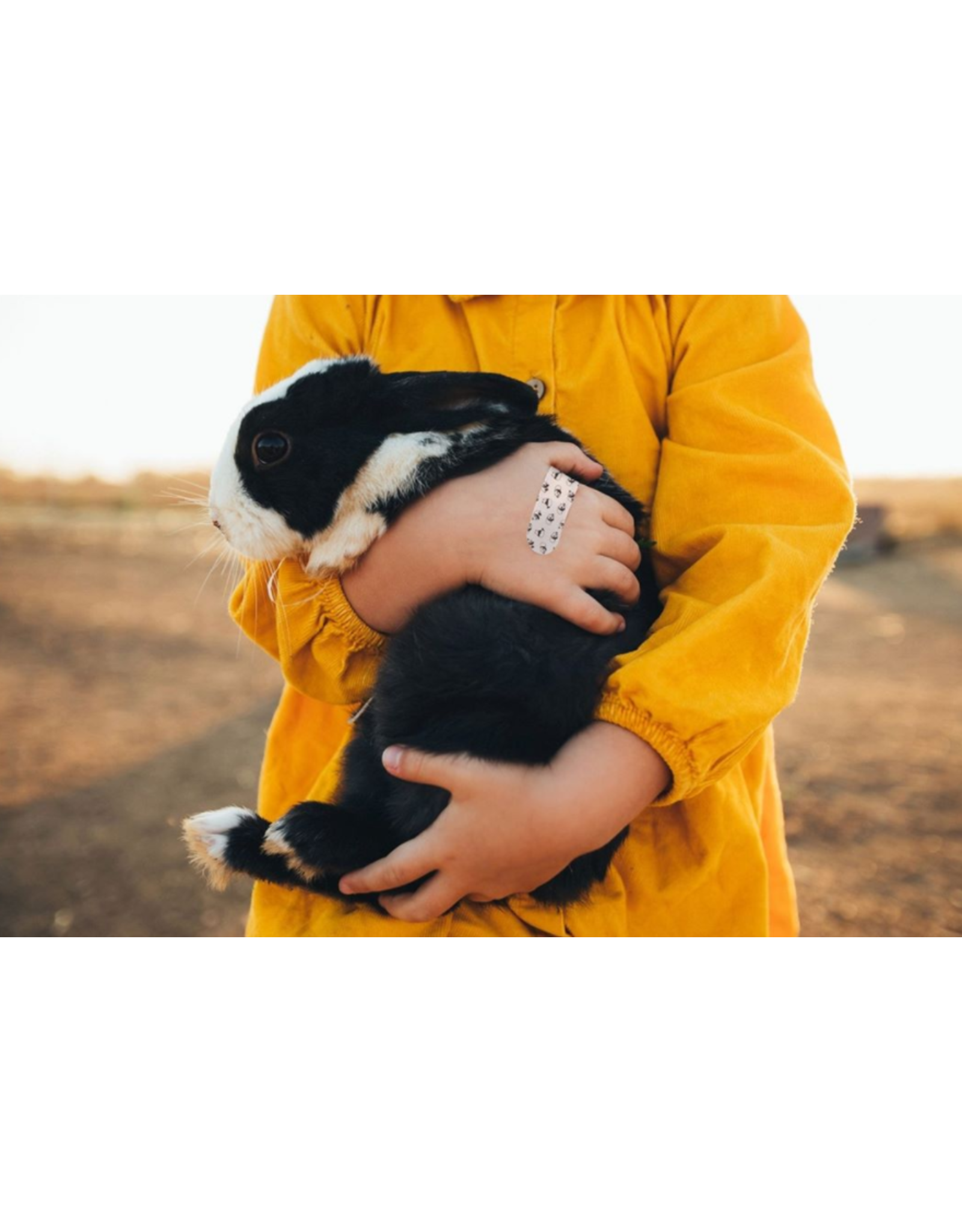 Patch Compostable Bamboo  Bandages