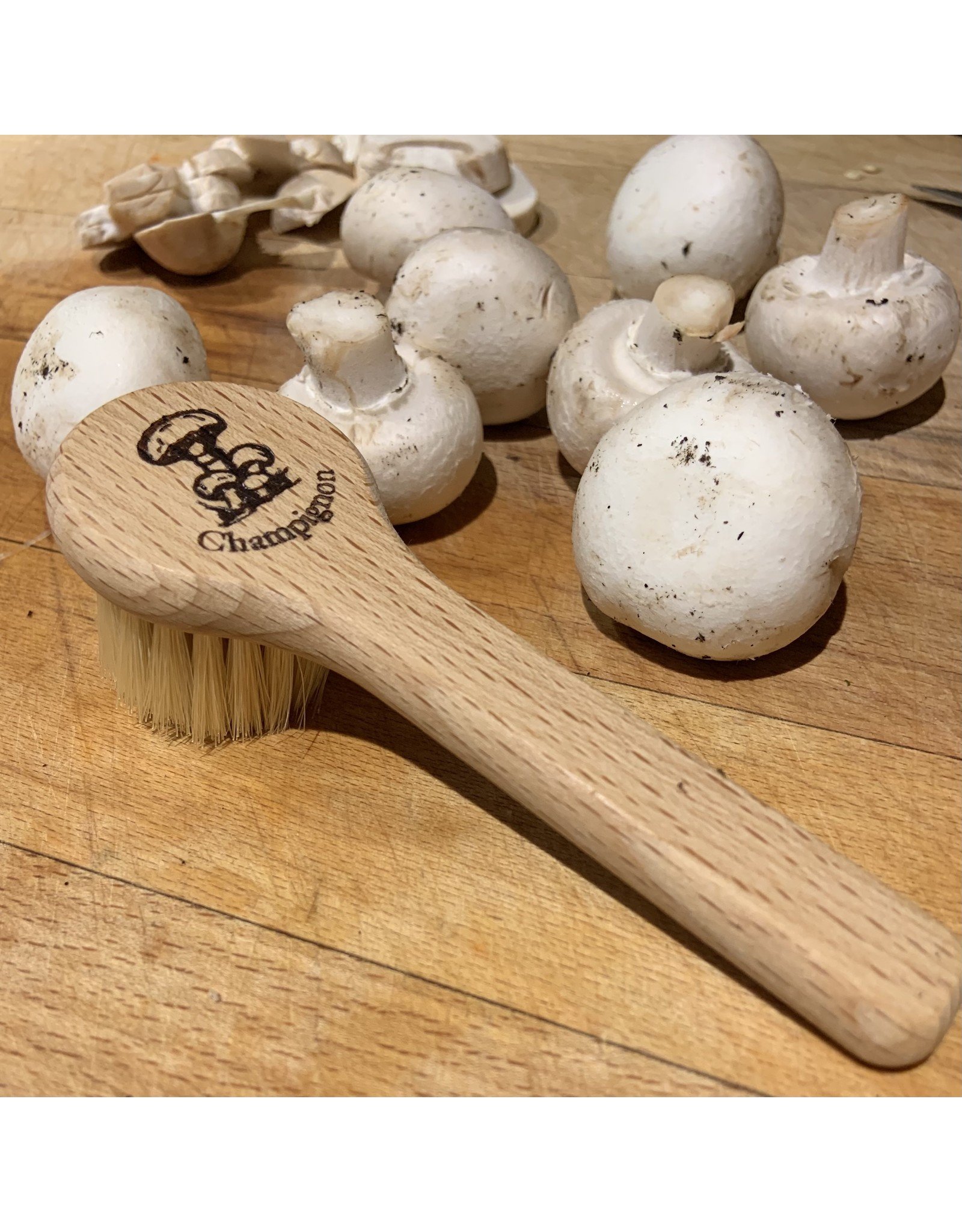 Redecker Mushroom Brush with Handle by Redecker