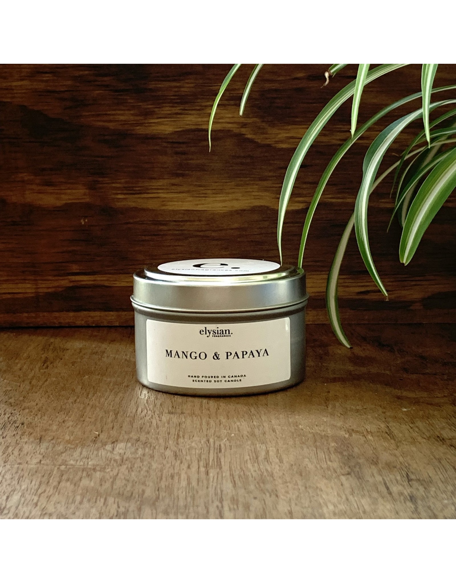 Elysian Fragrances 100% Soy Candle - Spring/Summer Collection