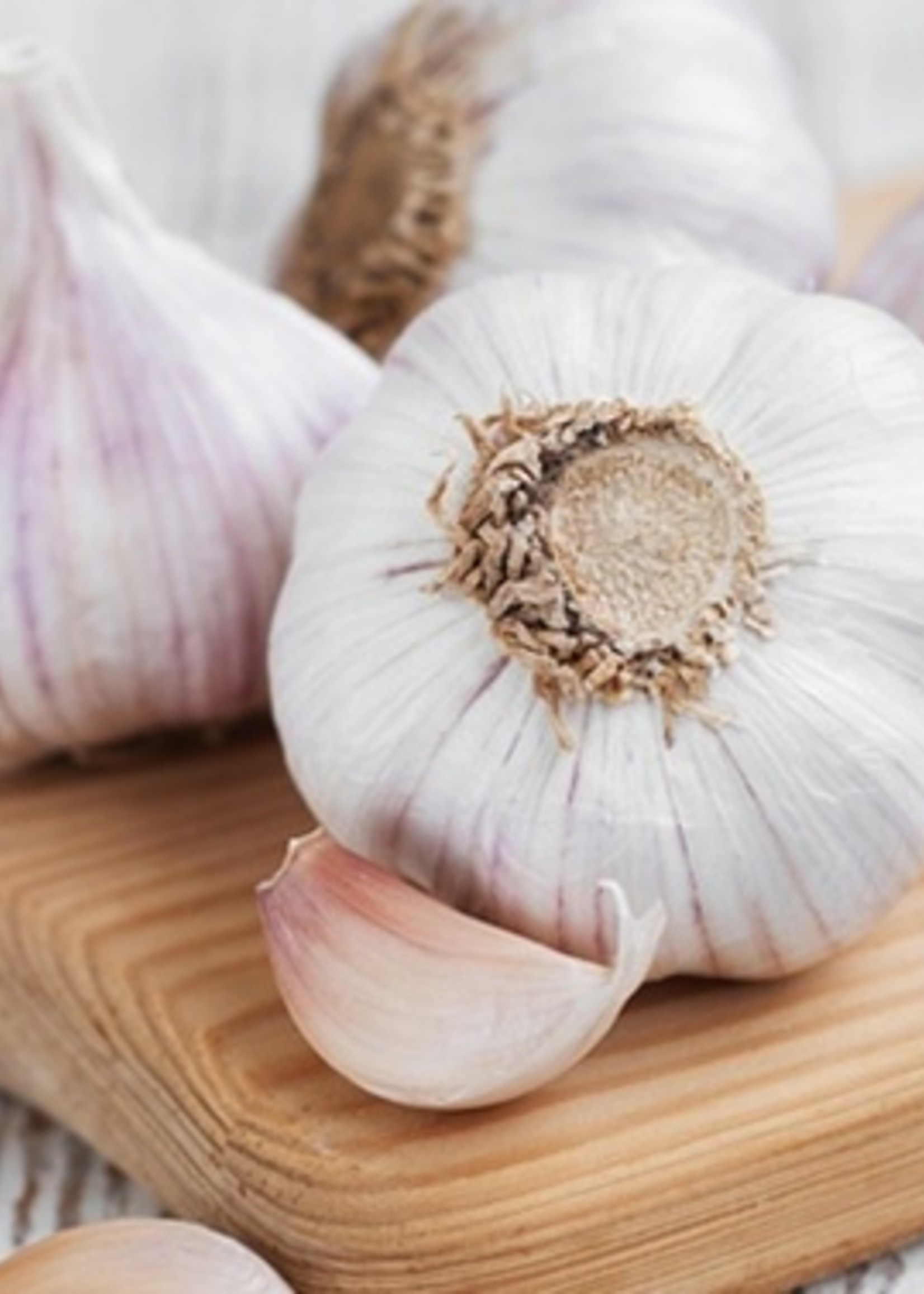 Ail biologique du Québec - à la gousse