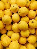 Citron biologique - unité