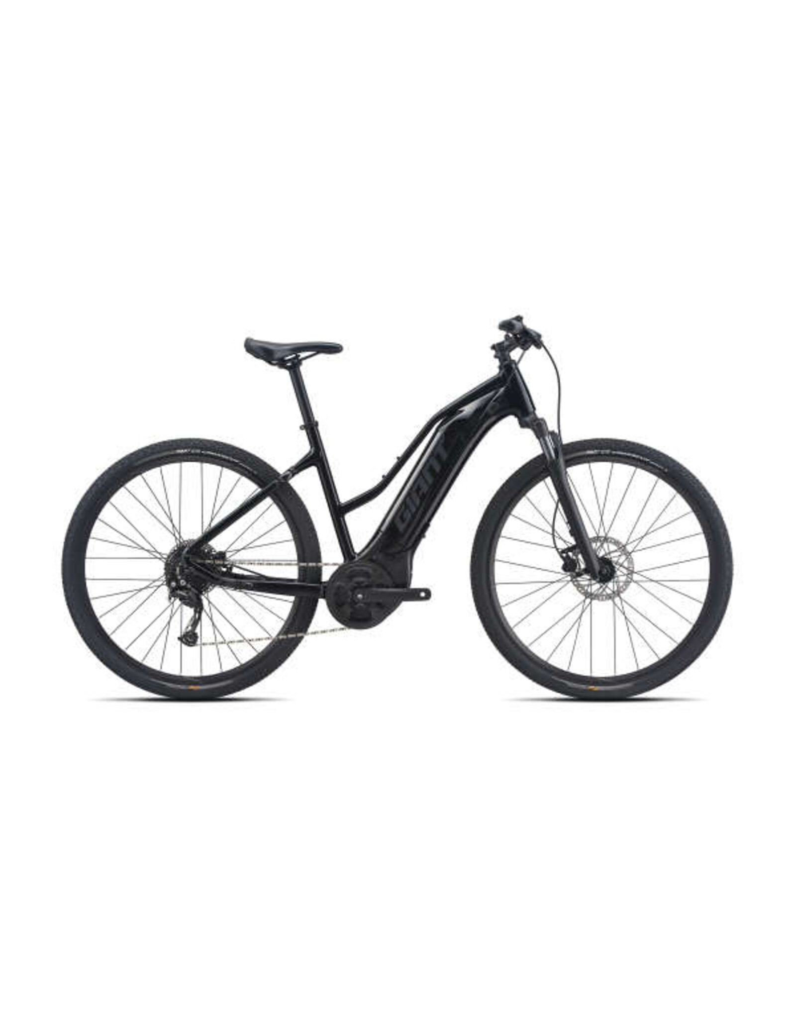 GIANT Roam E+