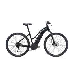 GIANT Roam E+