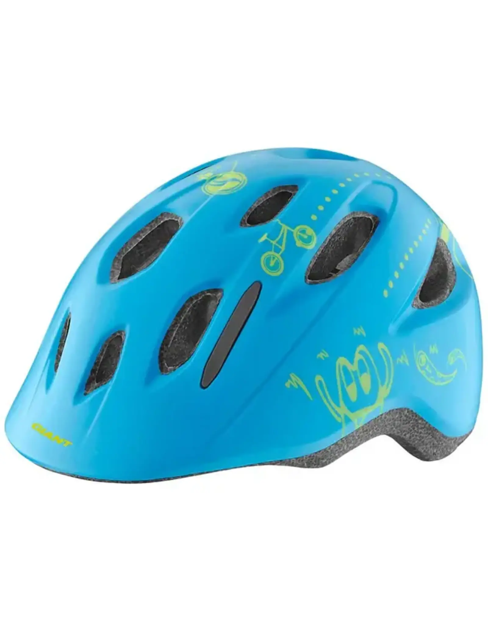 Giant Holler Youth Helmet OSDFM Matte Cyan w/bug net