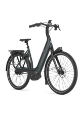 Gazelle GAZELLE AVIGNON C380 HMB BELT USA