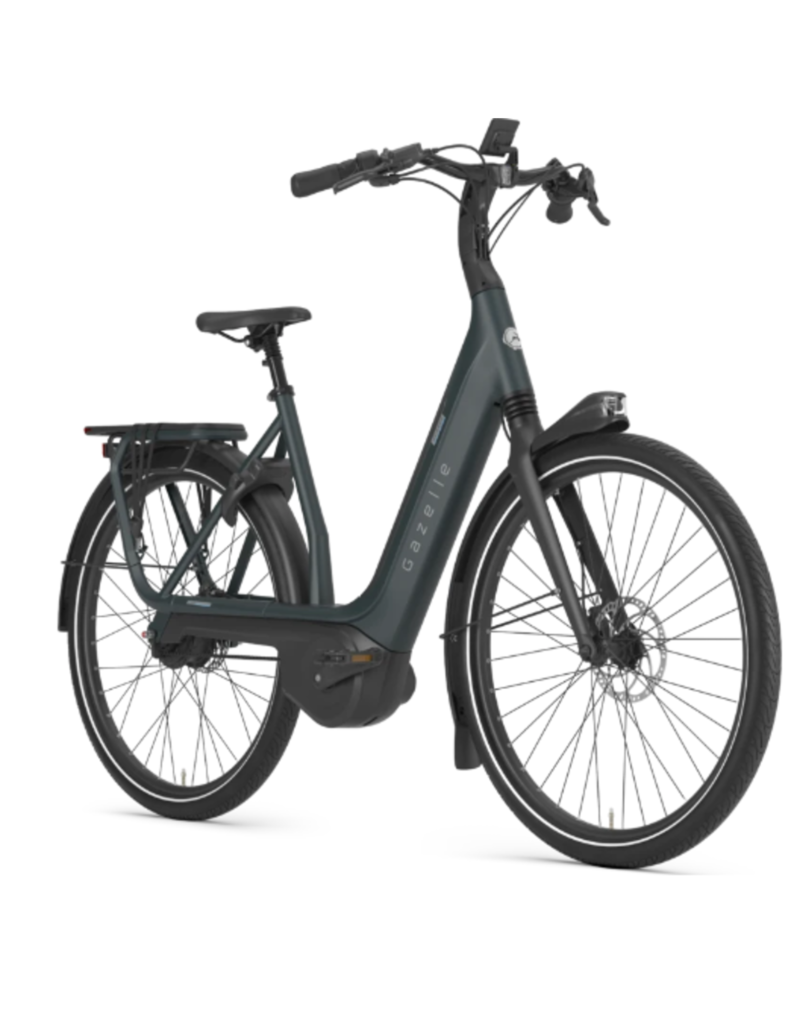 Gazelle GAZELLE AVIGNON C380 HMB BELT USA
