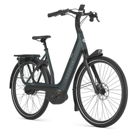 Gazelle GAZELLE AVIGNON C380 HMB BELT USA