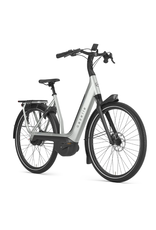 Gazelle GAZELLE AVIGNON C380 HMB BELT USA