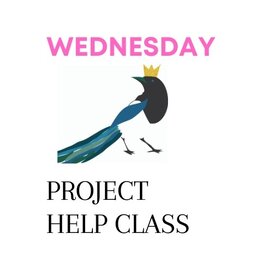 Magpie Knits MAGPIE KNITS  Wednesday Project Help Class 2025