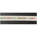 COLORS OF PRAISE NDLPT Belt