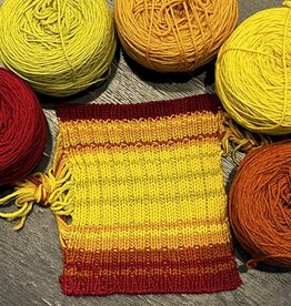 Magpie Knits MAGPIE KNITS Temperature Blanket Club