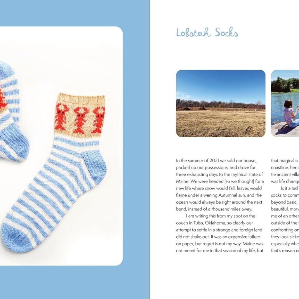 LEE The Sock Obsession Book