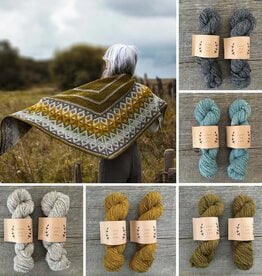 Lichen and Lace LICHEN AND LACE Knitting Kits: Artus Shawl