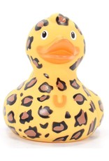 Canard Le léopard