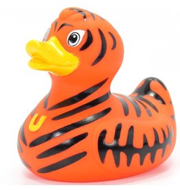 Canard Le tigre sauvage