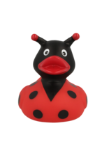 Lilalu Canard Coccinelle