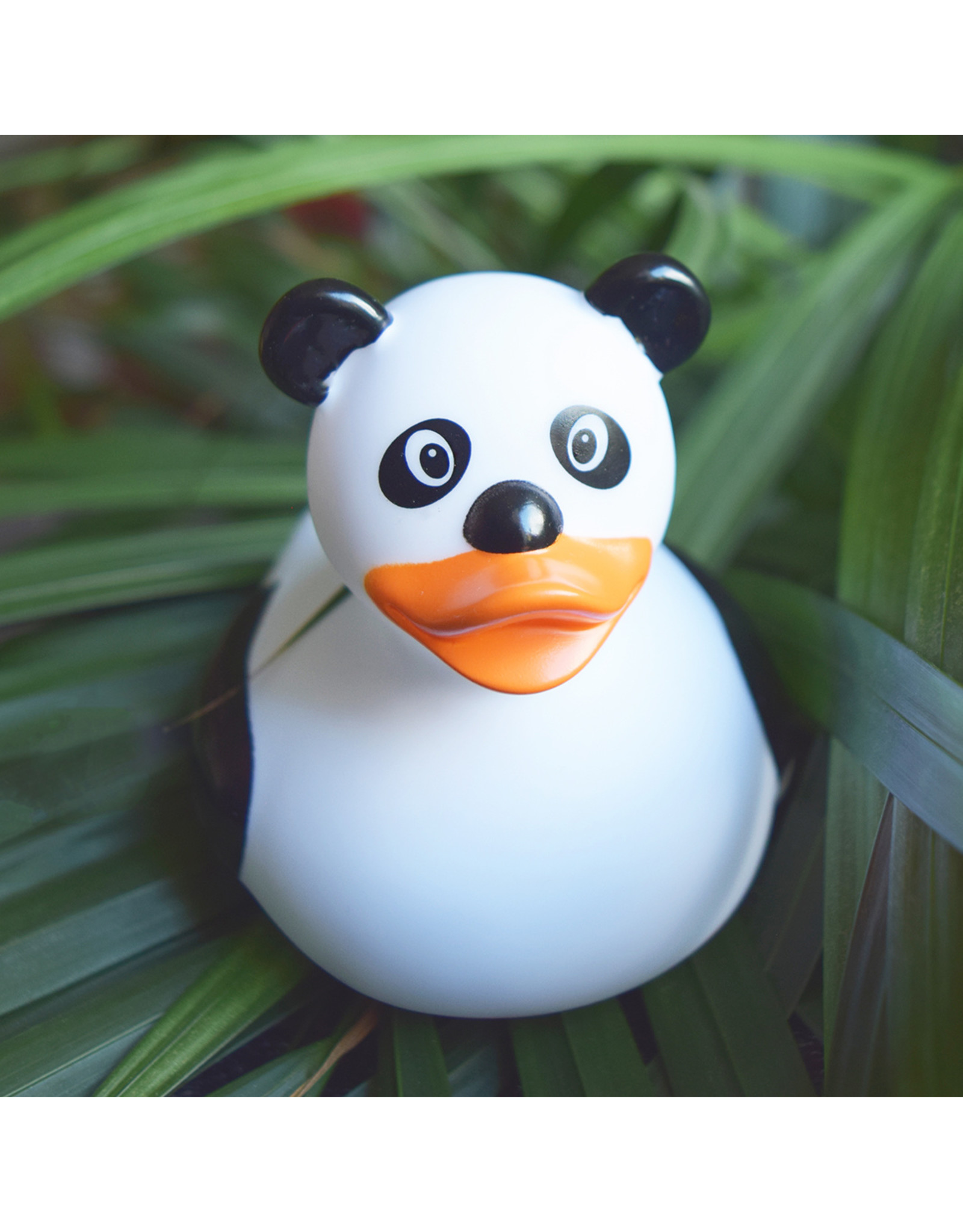 Lilalu Canard Panda
