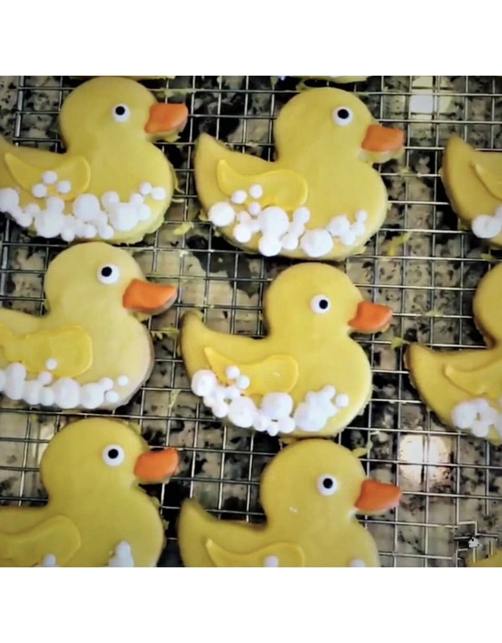 Ann Clark Moule à Biscuits Canard
