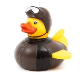 Canard Pilote Ancien