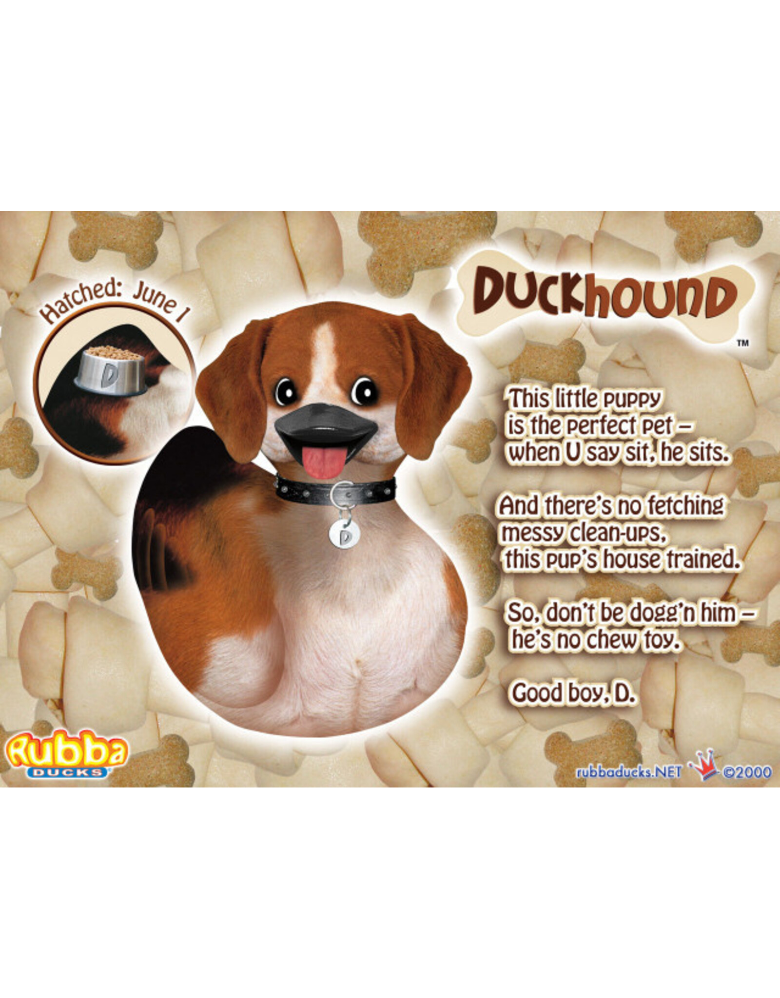 Canard Duckhound - Chien
