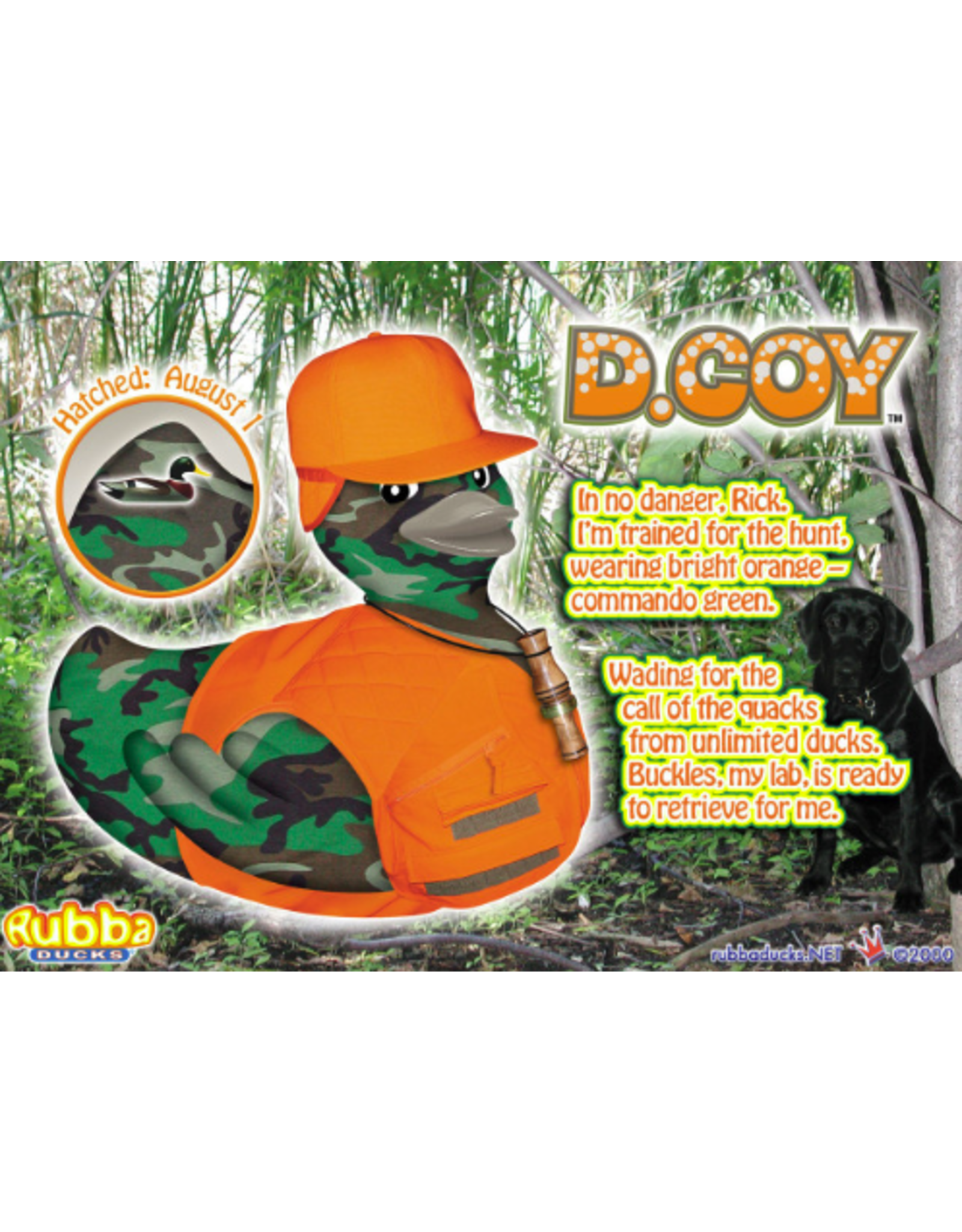 Canard D. Coy chasse