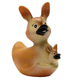 Canard Duckaroo - kangaroo
