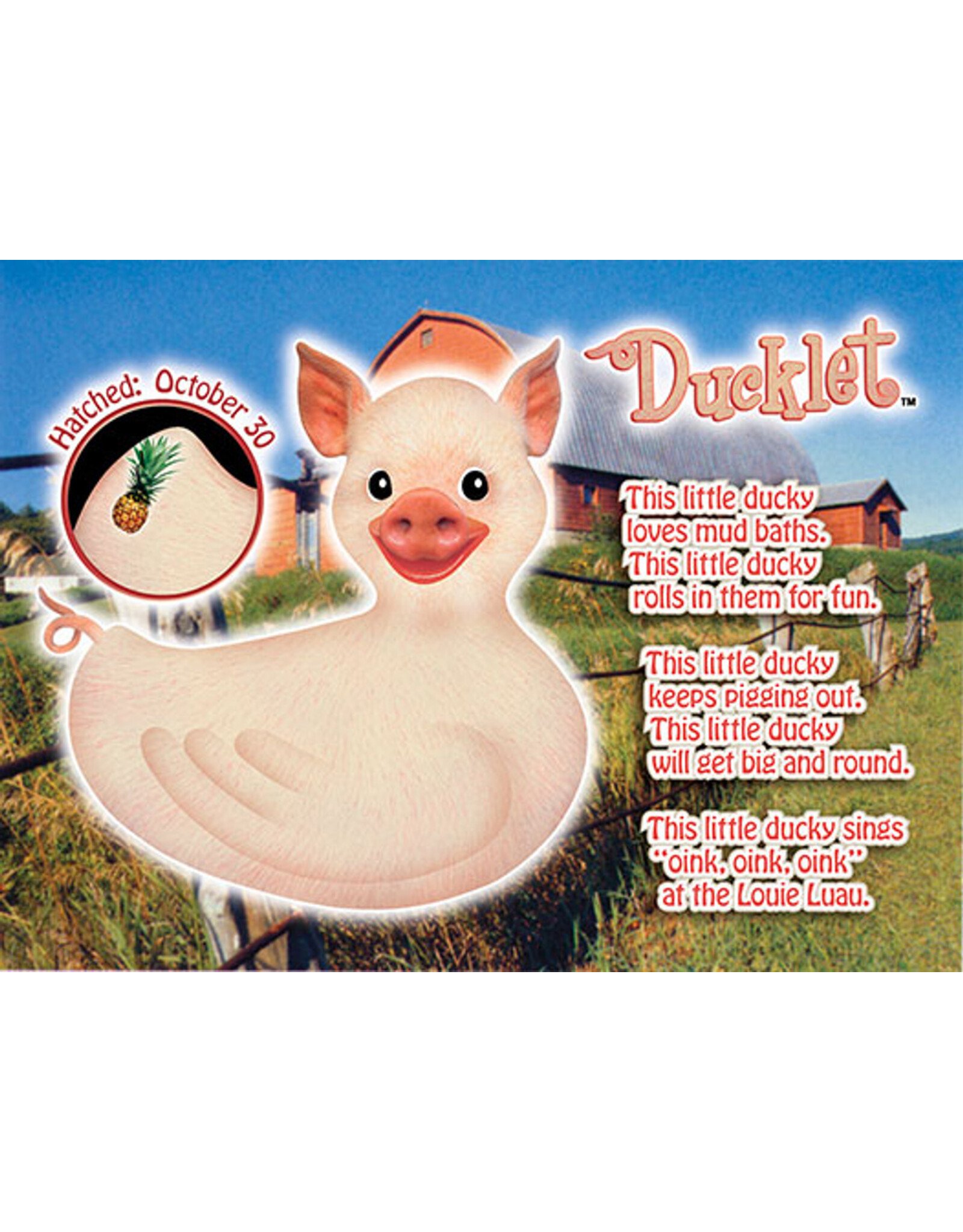 Ducklet Piglet Rubber Duck