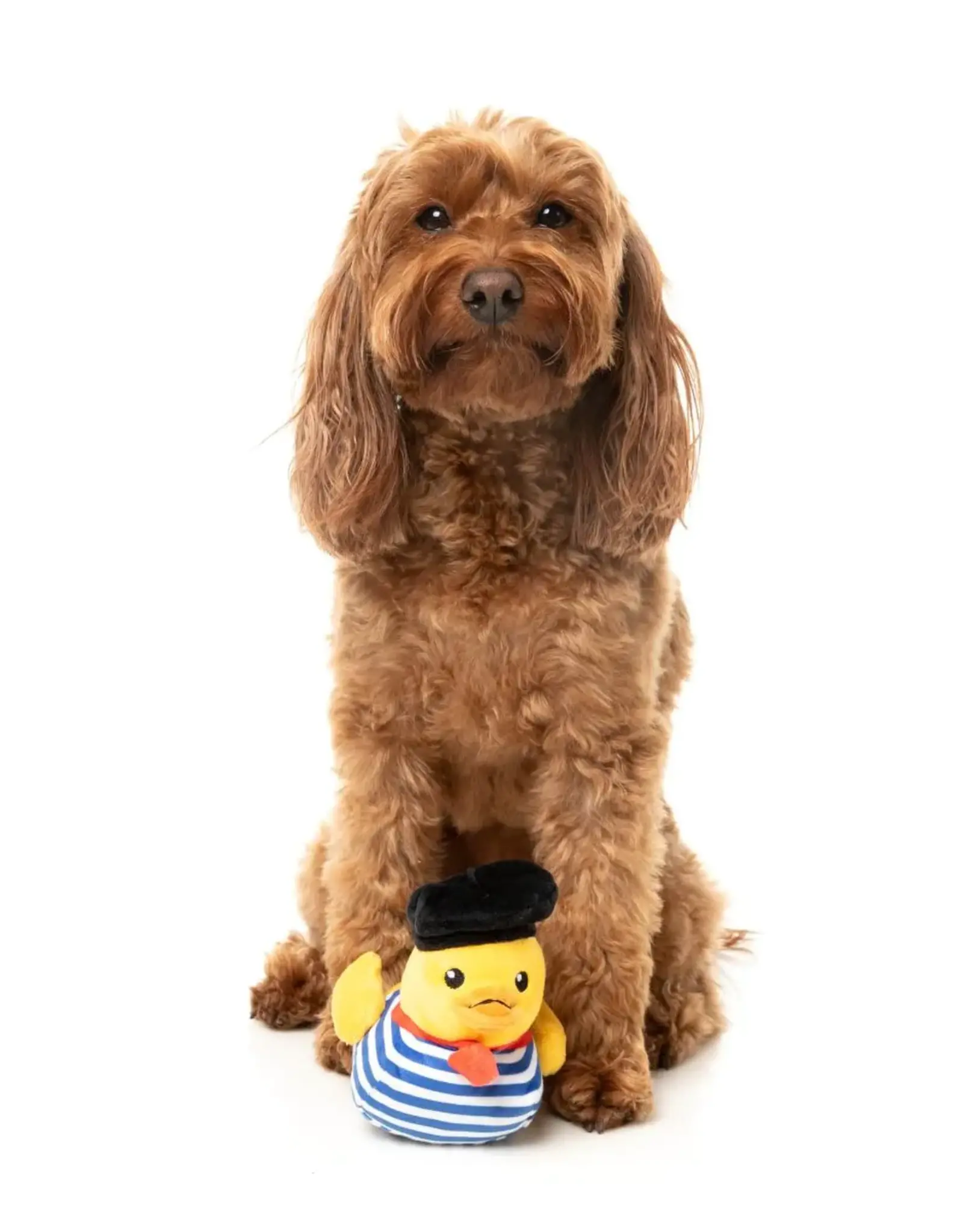 FuzzYard Jouet pour Chien Timothee Chalaquak - Petit