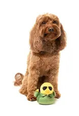 FuzzYard "Goose" Pilot Dog Toy - Small