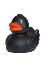 Canard Noir avec des Ailes