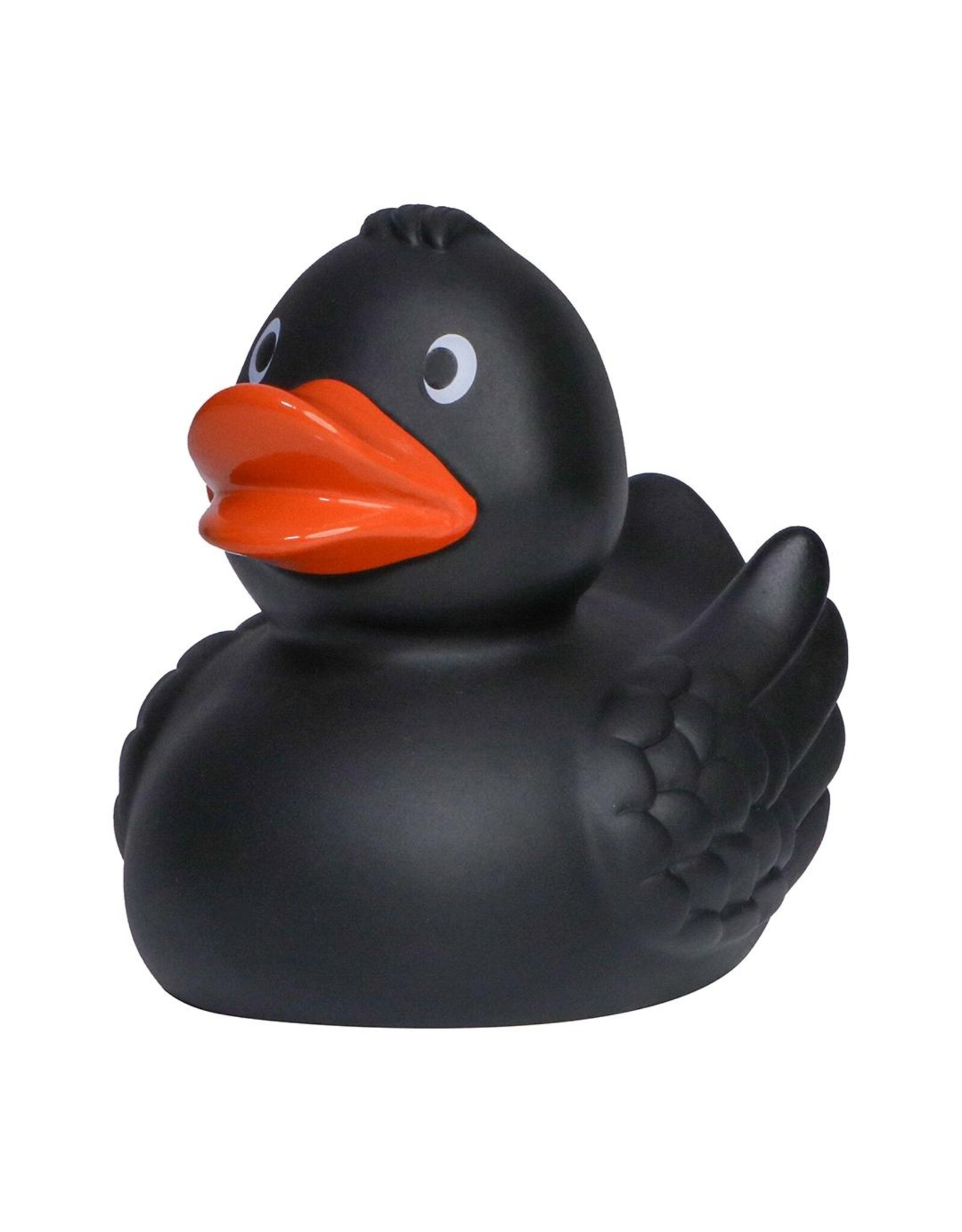 Canard Noir avec des Ailes