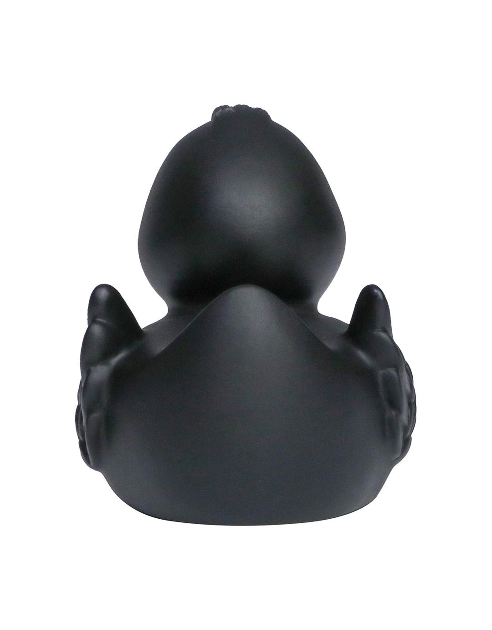 Canard Noir avec des Ailes